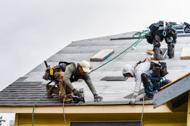 Professional Roofing technician working in Haines, OR